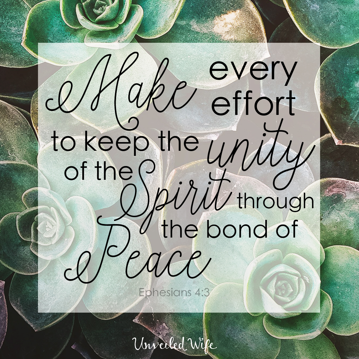 Being A Peacemaker & Bearing With One Another In Love
