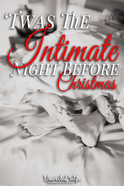THE-INTIMATE-NIGHT-BEFORE-CHRISTMAS