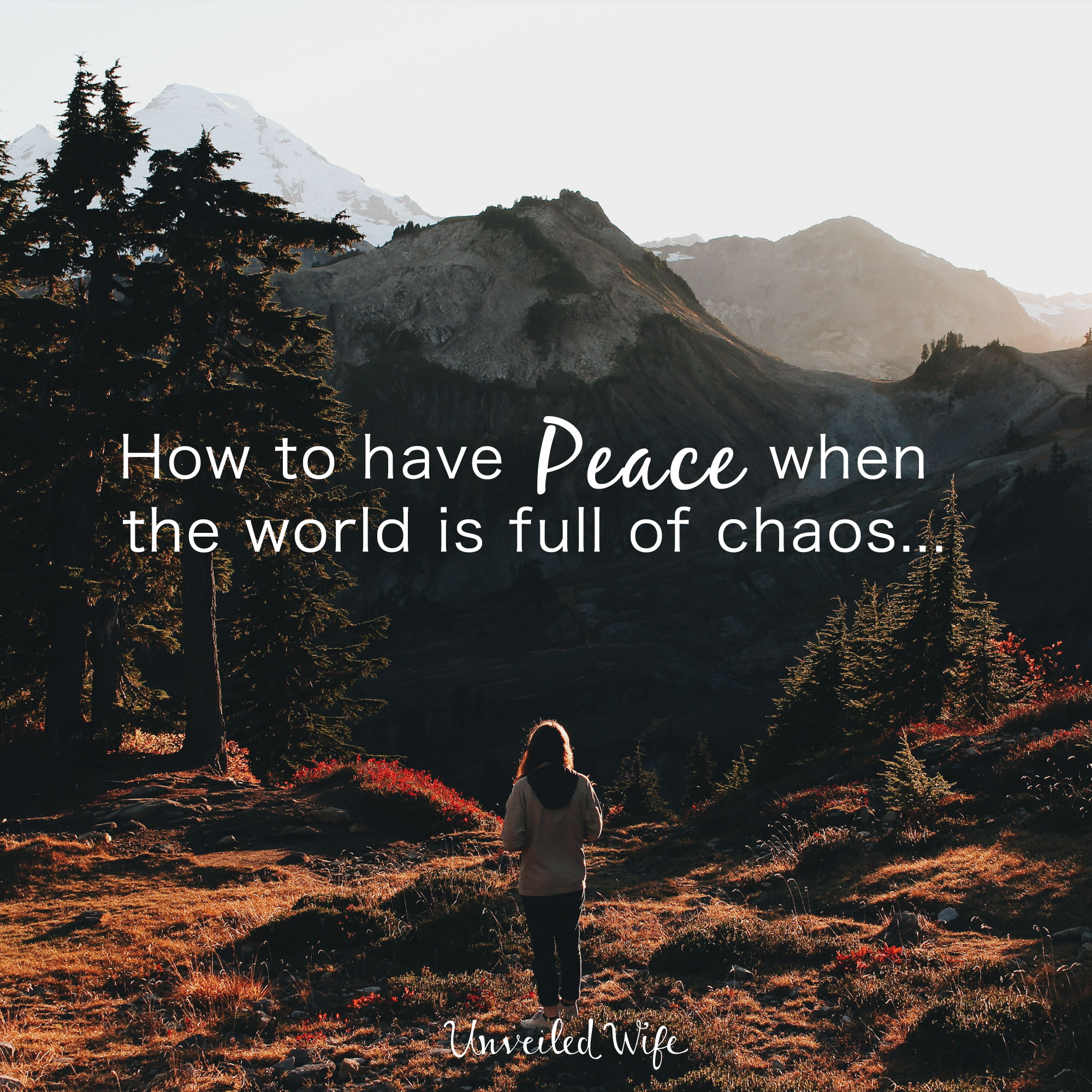 How To Have Peace When The World Is Full Of Chaos