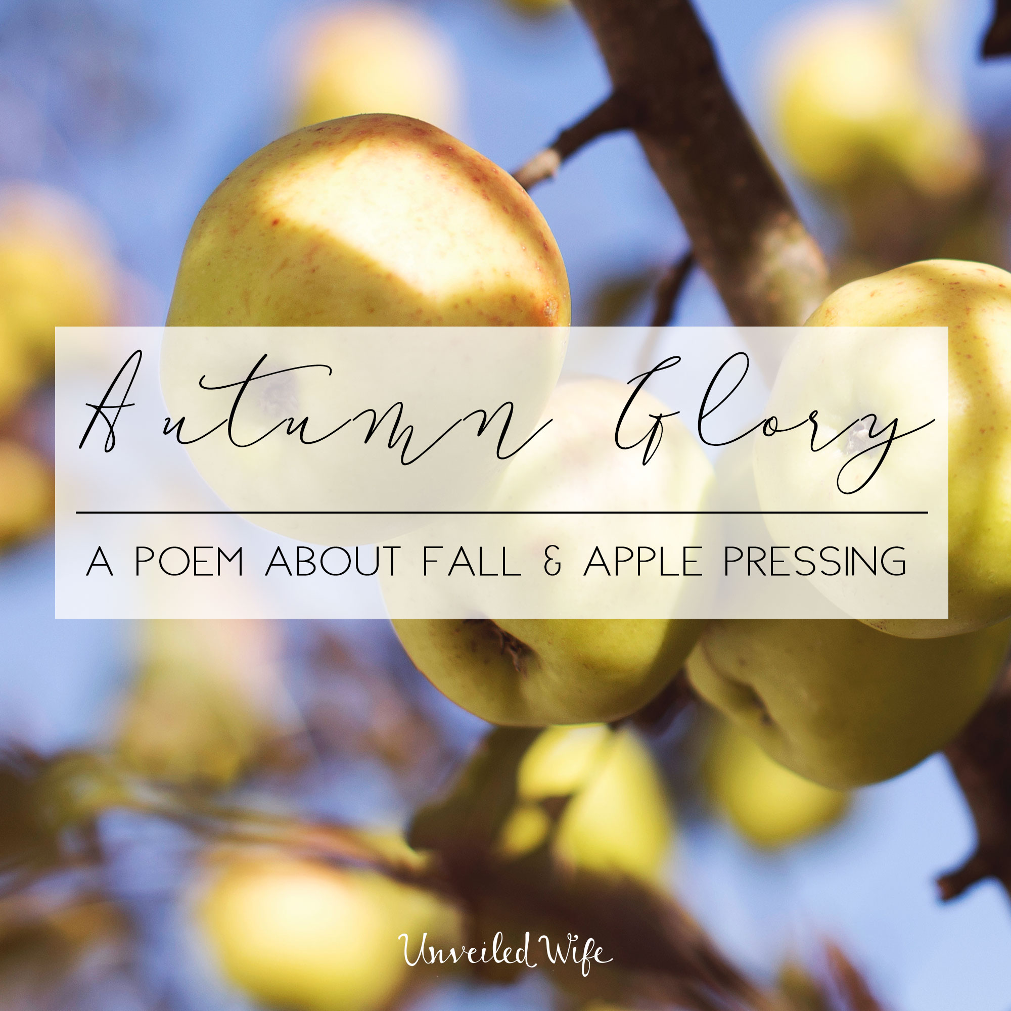 Autumn Glory | A Poem About Fall & Apple Pressing